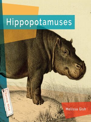 cover image of Hippopotamuses